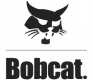 Bobcat