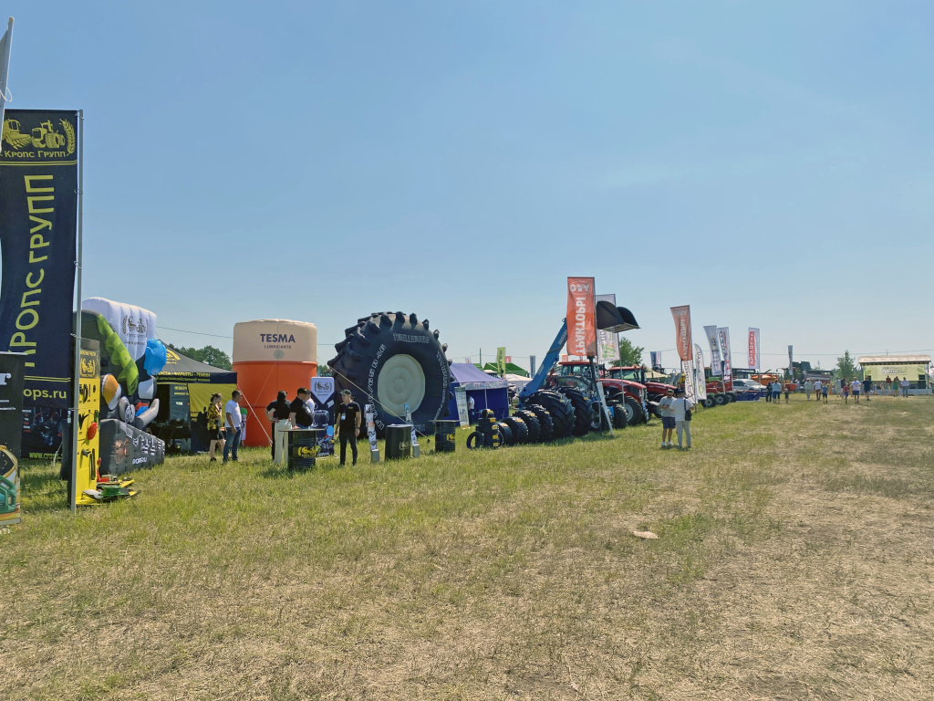 IMG_7711.jpg IMG_7711.jpg