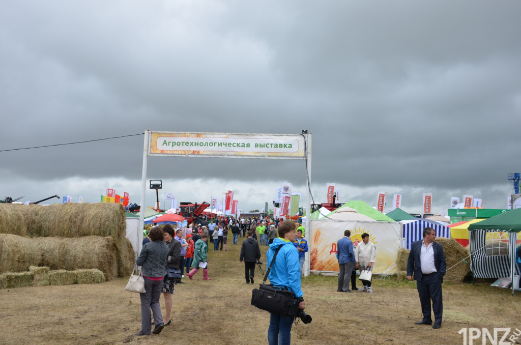 penza18-5.jpg penza18-5.jpg